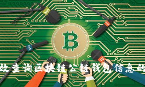 如何高效查询区块链公链钱包信息的全攻略