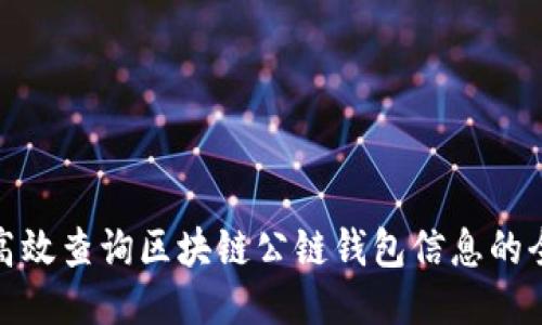 如何高效查询区块链公链钱包信息的全攻略