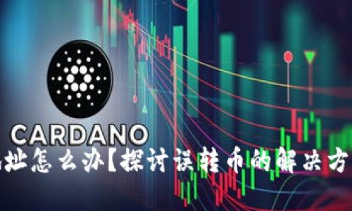 TP钱包转错地址怎么办？探讨误转币的解决方案与预防措施