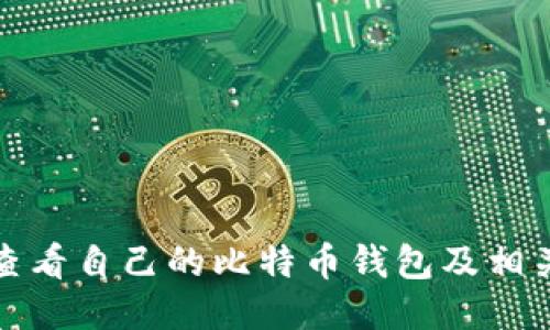 如何查看自己的比特币钱包及相关信息