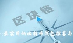 小白必备：最实用的比特