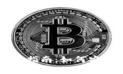 虚拟币托管钱包使用指南