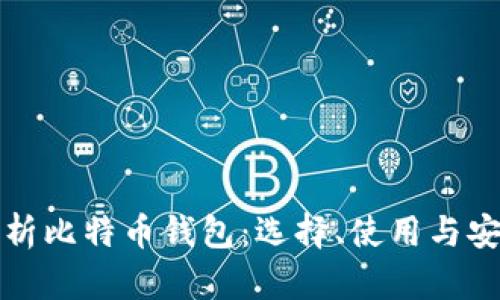 全面解析比特币钱包：选择、使用与安全指南