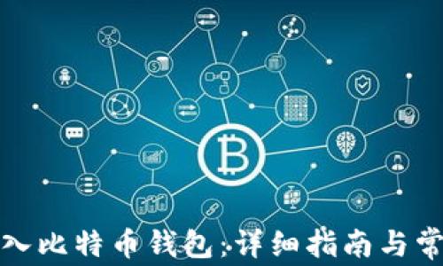 
如何顺利导入比特币钱包：详细指南与常见问题解答